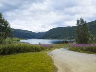 Vistas al lago de Dalavatnet, paisaje con gran belleza en Noruega, verano de 2017