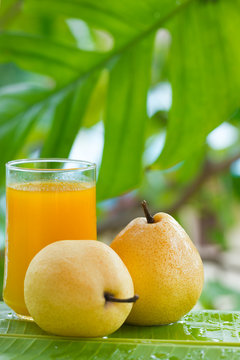 yellow pear tropic fruit refreshment smoothie
