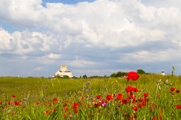 Vladimirsky temple in Chersonese Taurian, Sevastopol, Crimea, Russia, sunny day and blooming poppies
