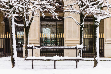 Paris under the snow