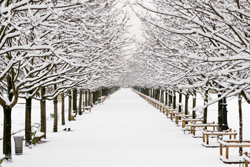 A garden in Paris under the snow