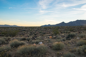 Arizona desert, US southwest