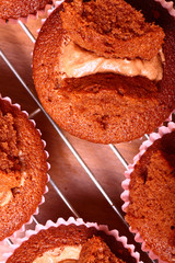 Freshly home baked chocolate cup cakes on a cooling rack