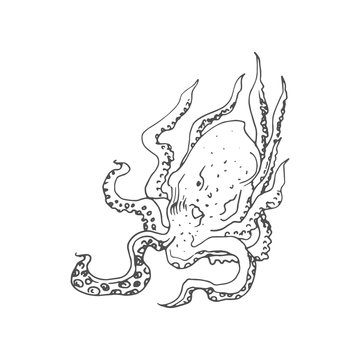 octopus vector draw