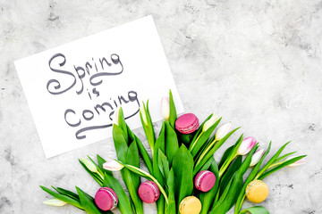 Spring is coming hand lettering near delicate tulips on grey background top view copy space