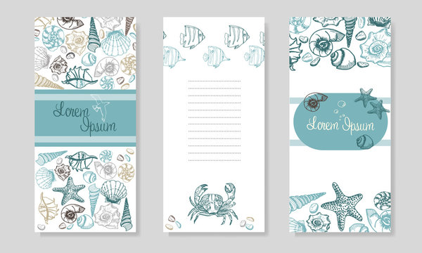 Seashells booklet design. Summer Sea Shells Banner Design. Hand Drawn Etching Style. Place for Your Text. Marine Flayer Template.