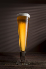 Glass of cold light beer