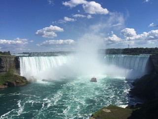 Fototapeta premium Niagara Falls
