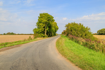 A Country Road