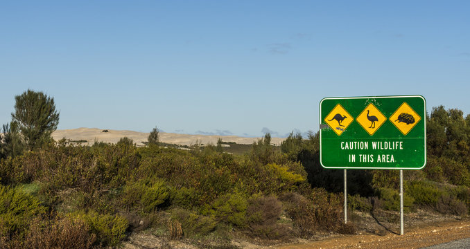 Wildlife signs on road, Western Australia, Australia
