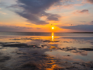 Küstenlandschaft an der Nordsee