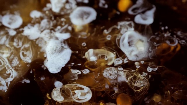 White stains are dissolving and expanding on the dark surface of liquid. Abstract fusion and mixture of floating substances