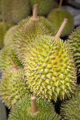 Durian - king of fruit