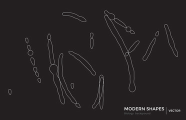 Abstract shapes geometric background science technology