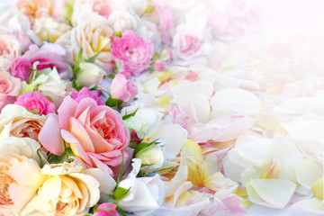 Obraz premium Róże kwiaty tło.