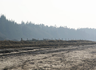 SONY DSC