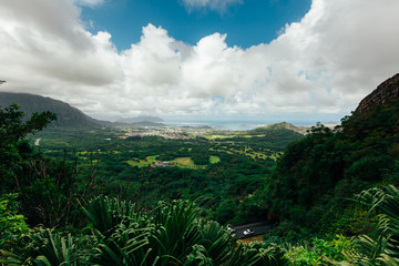 Fototapeta na wymiar Hawaiian Mountain View