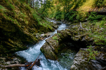 Obraz premium Wąwóz Vintgar, Słowenia