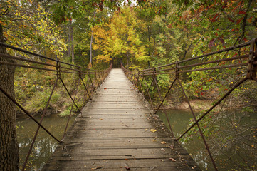 Obraz premium The Swinging Bridge
