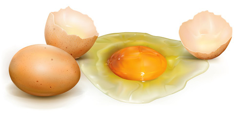 Chicken eggs broken and whole
