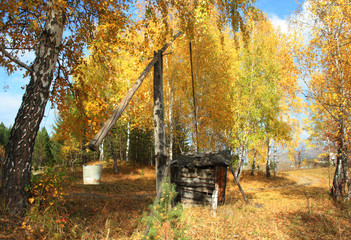 Autumn landscape