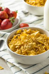 Healthy Corn Flakes with Milk for Breakfast