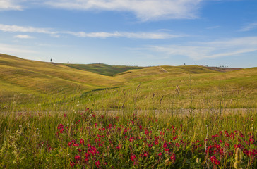 Fototapeta na wymiar Tuscan landscape, fields and meadows on a warm sunny day