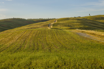 Tuscan landscape, fields and meadows on a warm sunny day