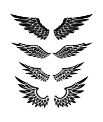 Illustration Of Wings Collection Set
