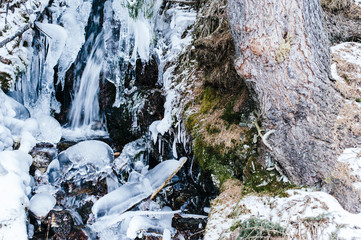 mountain stream, frozen, in the woods with snow