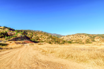 Drive dirt road in to dry forest area