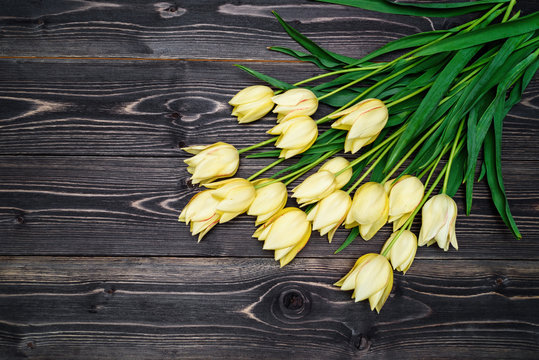 Spring background with bunch of tulip flowers, copy space. Yellow tulips on wooden background. Flat lay, top view. Holiday greeting card for Valentines Day, Womens Day, March 8, Mothers Day, Easter