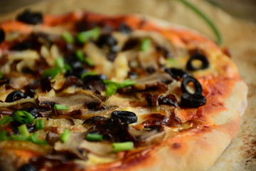 Italian pizza with mozzarella cheese, mushrooms,  black olives and green onion 