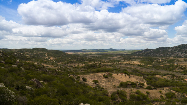 catinga is a dry and hard environment in brazil - blue sky with clounds