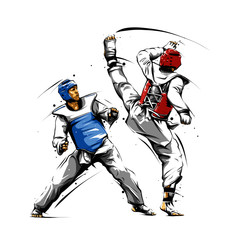 taekwondo action 3 - obrazy, fototapety, plakaty