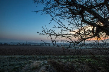 Winterlandschaft am Morgen in den Feldern Rheinhessens