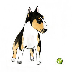 Рисунок собаки акварелью "Бультерьер"