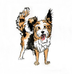 Рисунок собаки акварелью "Бивер-йоркширский терьер"