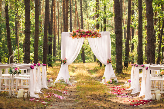 Beautiful elegant wedding decorations of place for ceremony outside in old wood with huge pines trees. Horizontal color photography.
