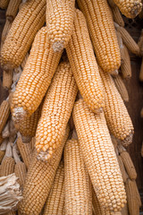 Dry corn,Animal feed