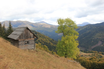 a lonely house on a hillside, Carpathians