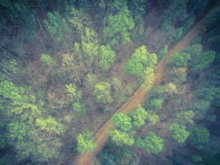 forest logging road