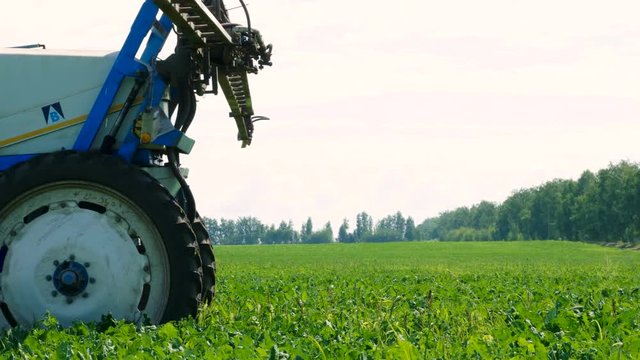 Tractor preparing for spraying the plants of sugar beet from pests, diseases. 4K
