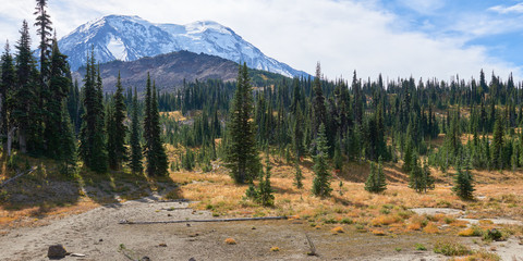 Mount Adams panoramic view from Killen Creek Trail on the sunny day in Washington USA Pacific Northwest.