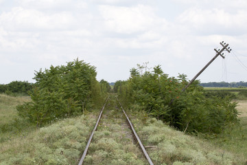 Uralter zugewachsener Bahnübergang / Andreaskreuz