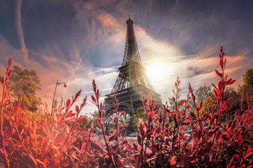 Eiffel Tower during spring time in Paris, France © Tomas Marek