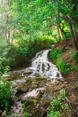 Obraz premium waterfall in deep forest