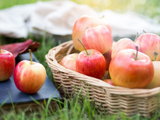Red ripe apple in basket in autumn vibes for healthy food concept.