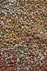 Dry pet food background.