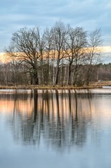 Fototapeta na wymiar Winter morning landscape. Islet on the lake in the morning scenery.